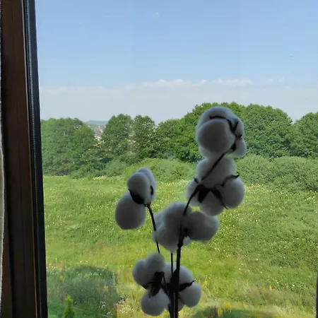 Secret Nest 公寓 Palisat