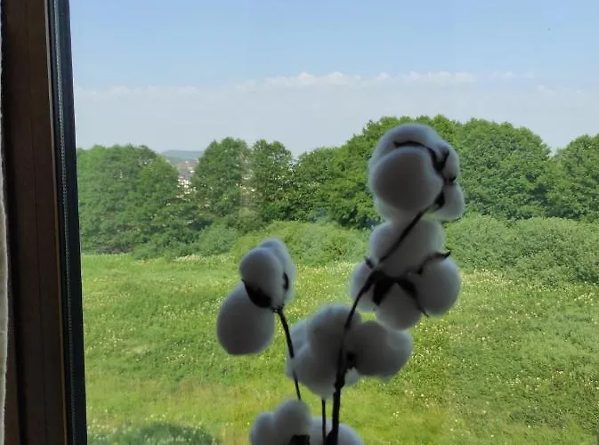 Secret Nest 아파트 Palisat